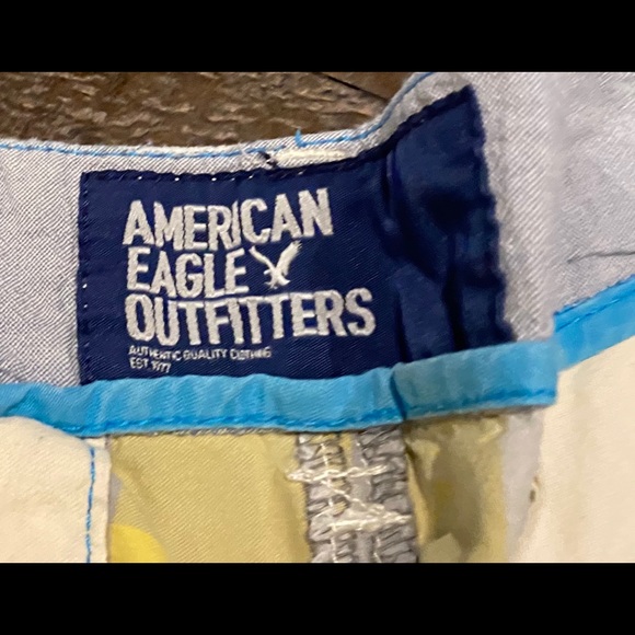 American Eagle Outfitter Men’s Shorts 30 - Picture 3 of 4